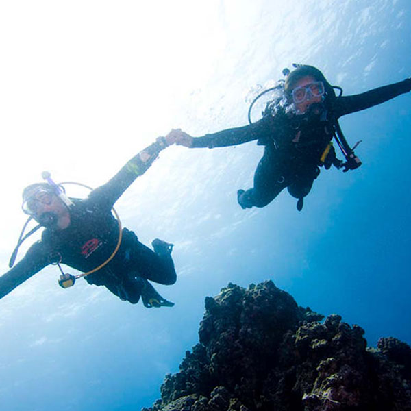 Double intro Diving In Sharm El Sheikh