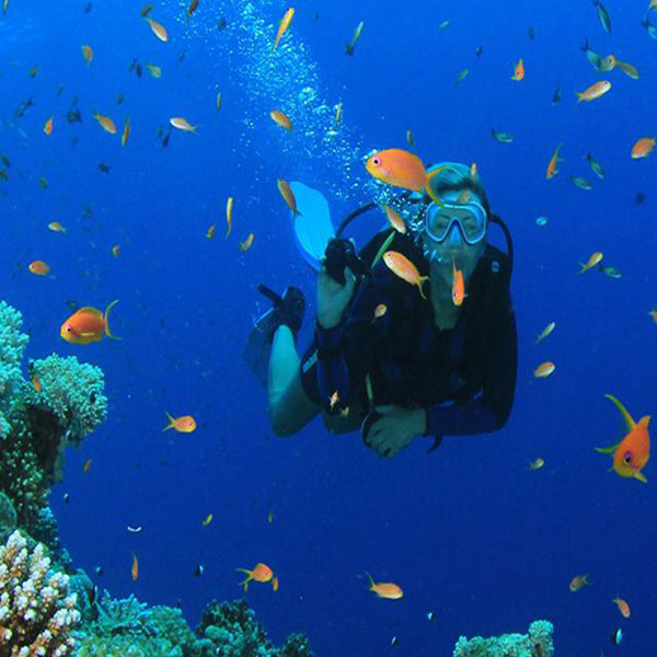5 Days Diving In Sharm El Sheikh