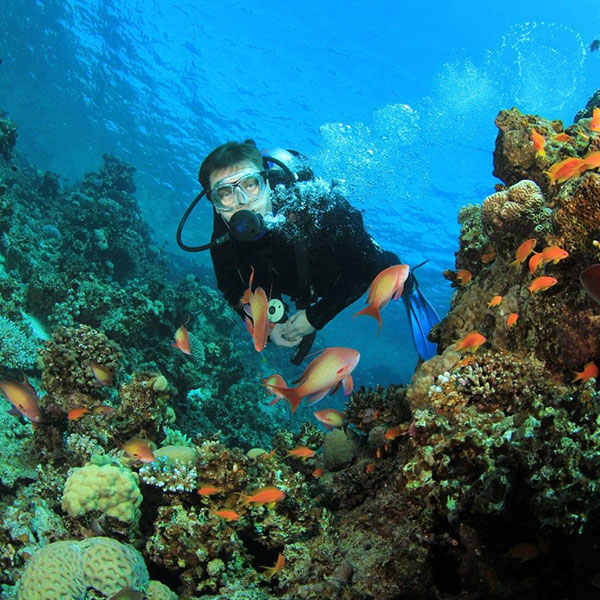 2 Days Diving In Sharm El Sheikh